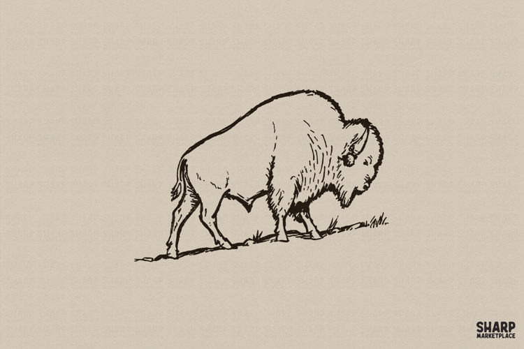 Vintage Bison Wildlife, Western PNG, Trendy PNG, Shirt PNG,