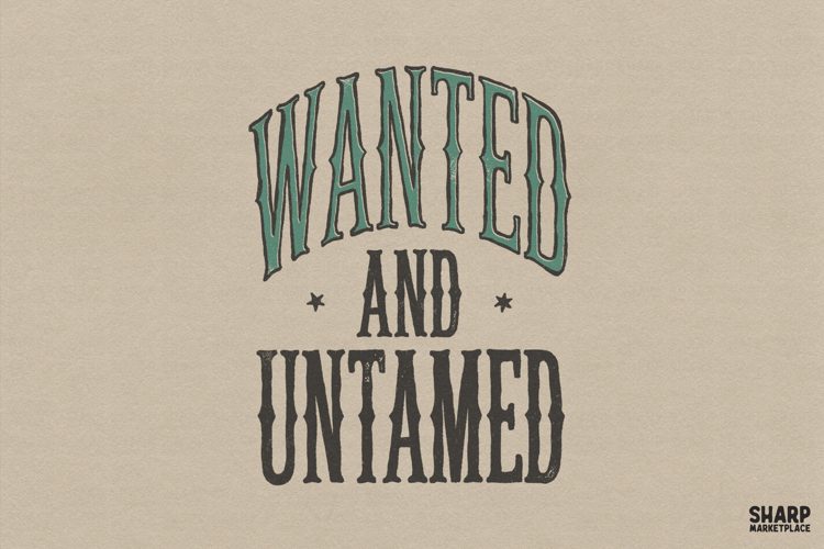 Rodeo Png Image 4