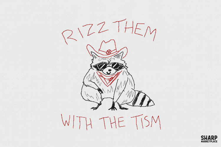 Rizz Them With The Tism Raccoon PNG, Autism Humor Design, example image 1