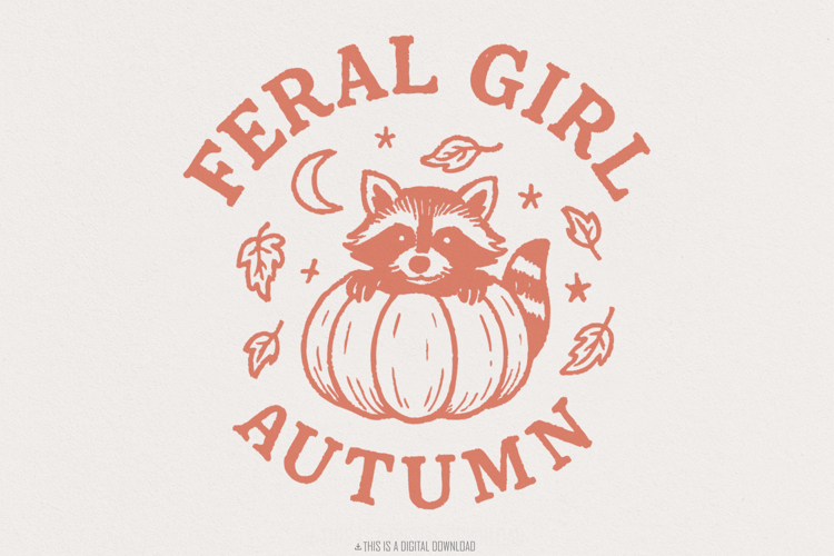 Raccoon Png Image 17