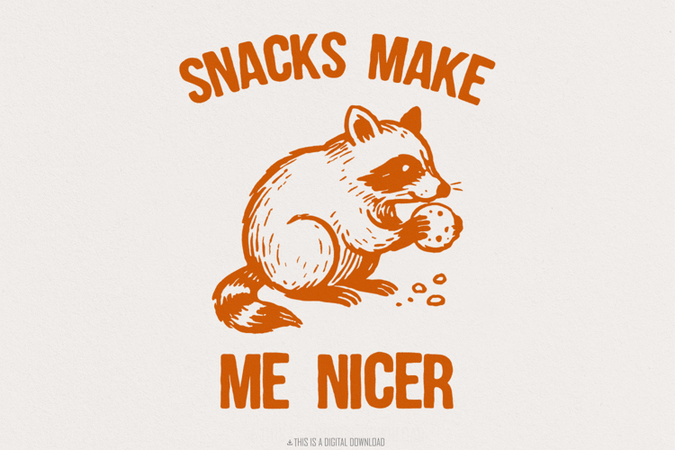 Raccoon Png Image 9