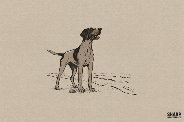 Vintage Pointer Dog Coastal Sketch, Png Designs For Shirt