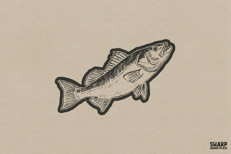 Fishing Png Image 2