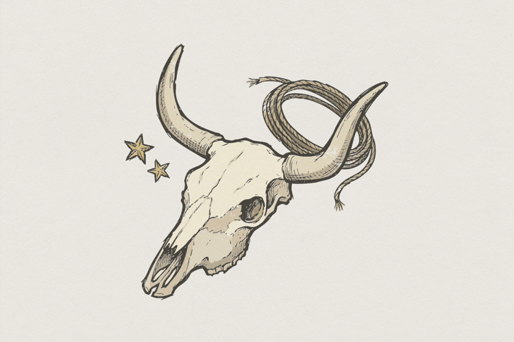 Longhorn Clipart Image 11
