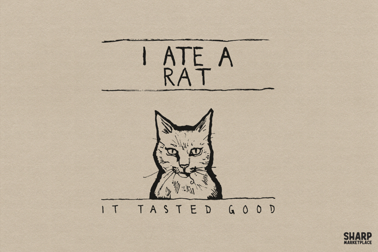 Cat Png Image 13