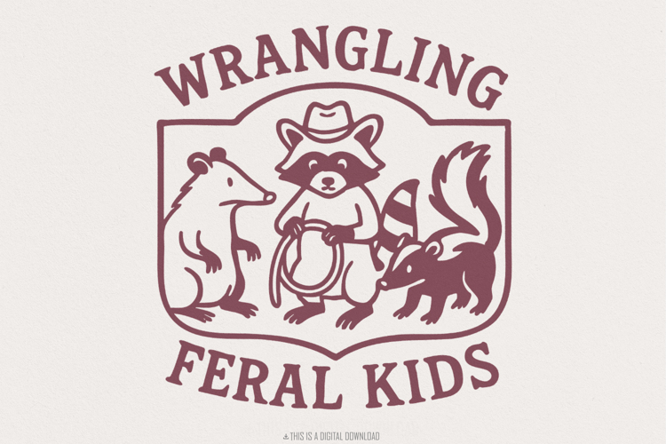 Raccoon Png Image 16