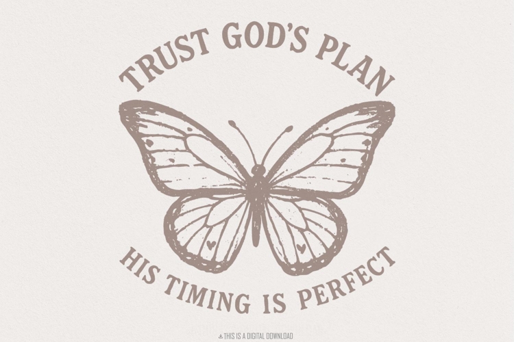 Butterfly Png Image 11