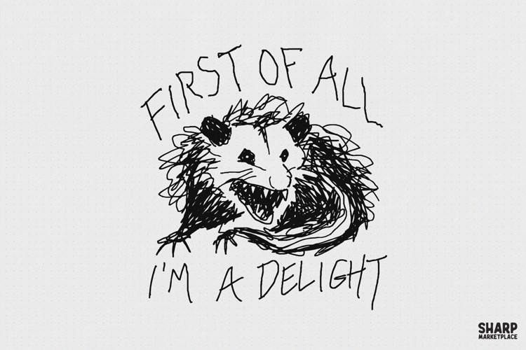 Possum Png Image 13