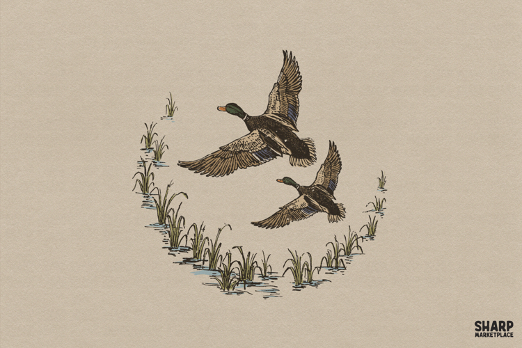 Summer Graphic Image 14