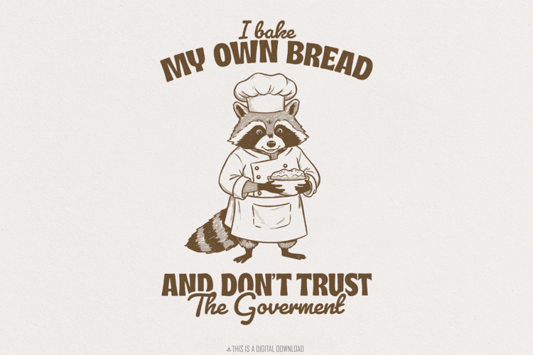 Raccoon Png Image 13