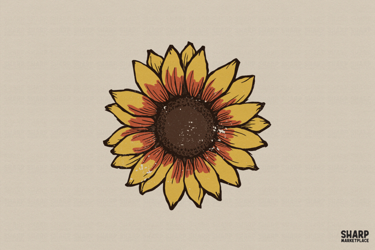 Sunflower Bloom, Sunflower PNG, Flowers PNG, Trendy PNG,