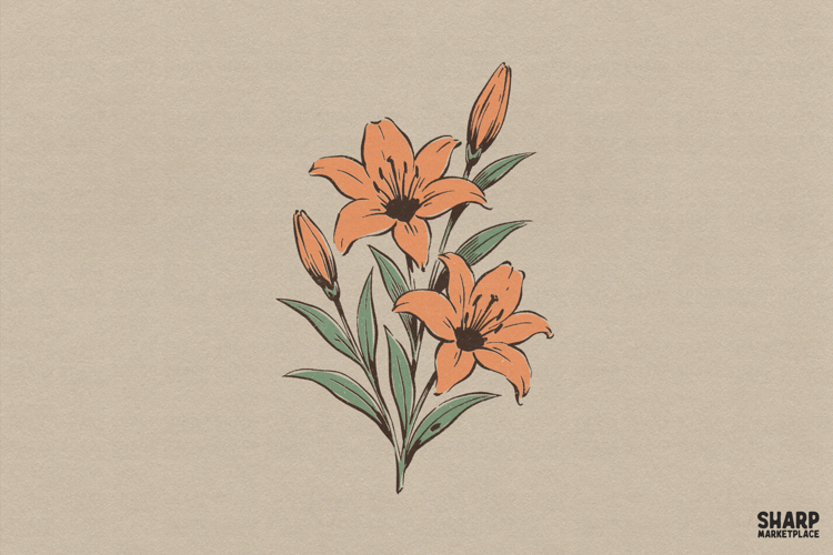 Vintage Orange Lilies Botanical Floral Illustration Elegant