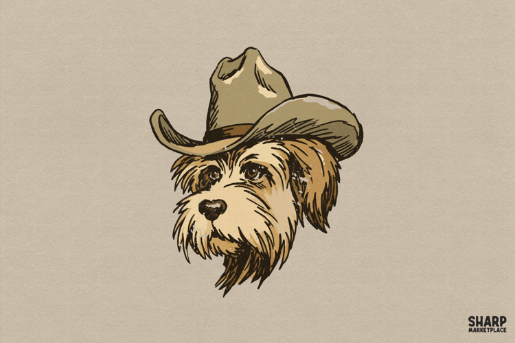 Cowgirl Png Image 8