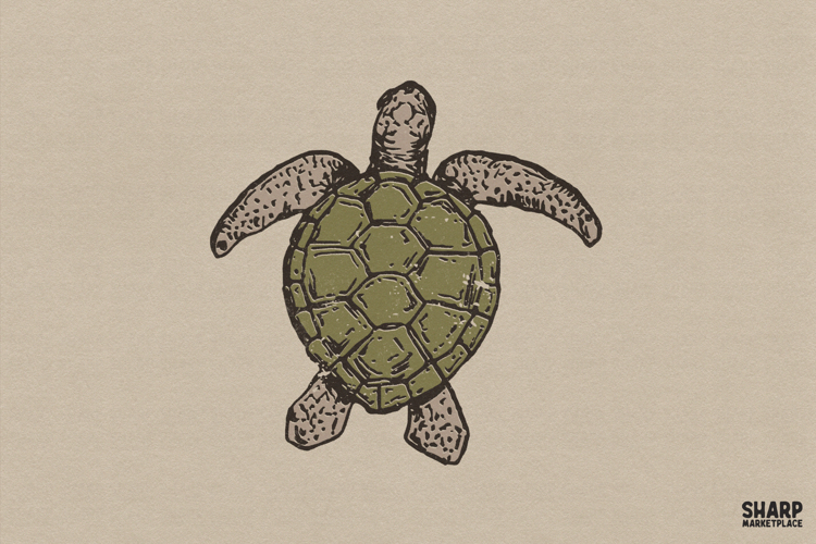 Vintage Sea Turtle Illustration, Coastal Wildlife Graphic,