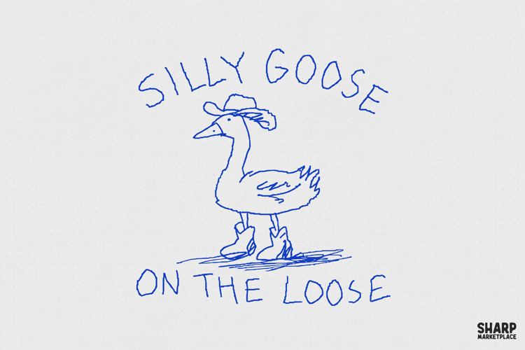 Silly Goose On The Loose PNG Designs, Western Cowboy Bird, example image 1