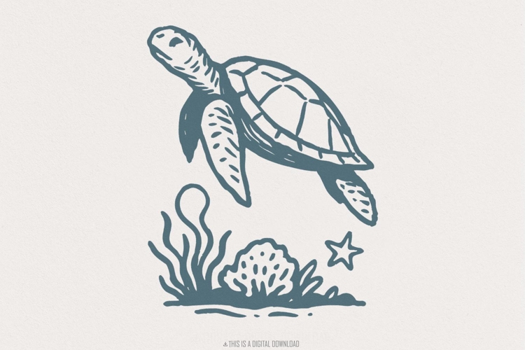 Sea Turtle PNG Clipart, Ocean Animal Illustration, Marine