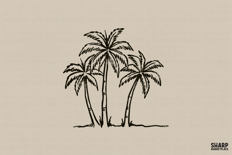 Palm Trees PNG, Summer PNG, Beach PNG, Tropical Coastal