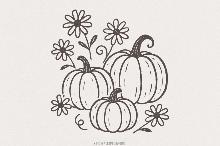 Pumpkin And Daisy PNG, Fall Flowers Digital Download,