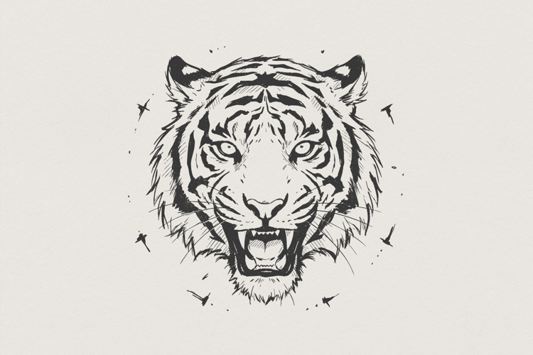 Tiger PNG Image 7