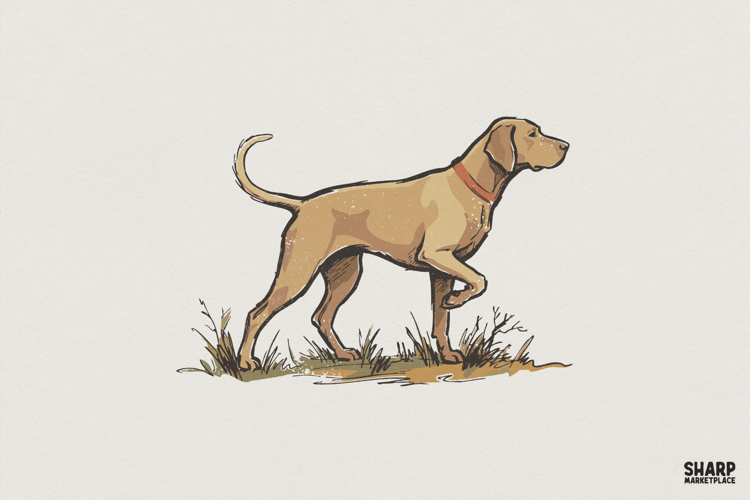 Pointer Dog PNG, Hunting Dog Clipart, Animal Lover Shirt