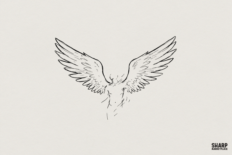 Wings Png