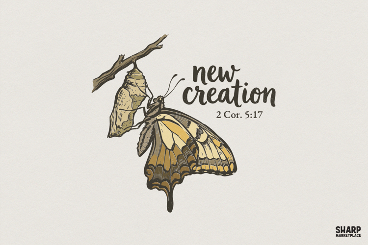 Schmetterling Png Image 21