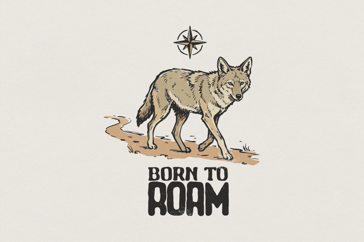 Born To Roam PNG, Coyote Wild Animal Art, Nature Adventure