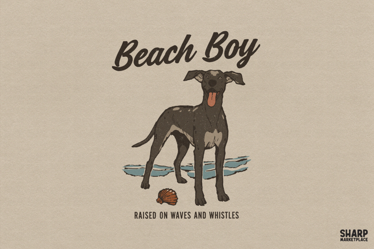 Beach Boy Raised On Waves And Whistles, Summer Png Shirt