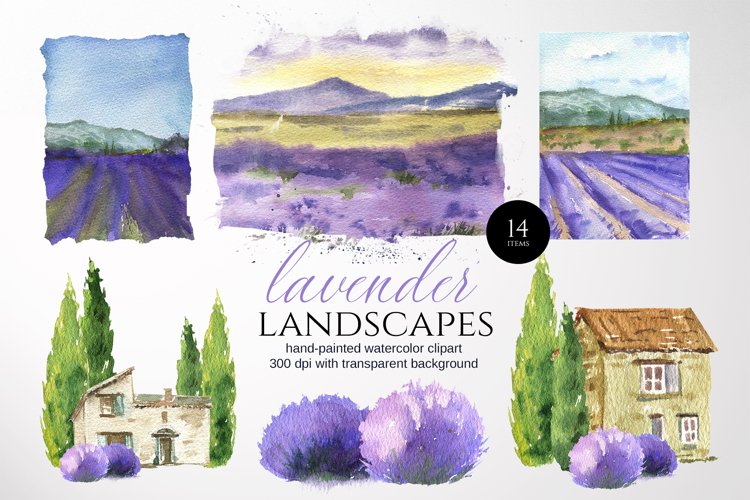 Provence Lavender Fields Landscapes clipart example image 1