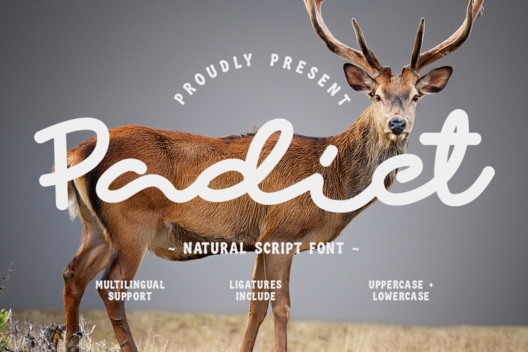Padict Natural Script Font