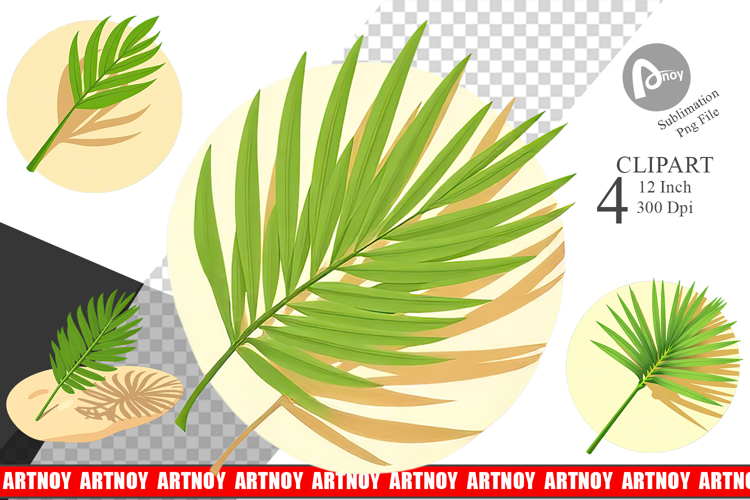 Palm Leaf Png Image 5