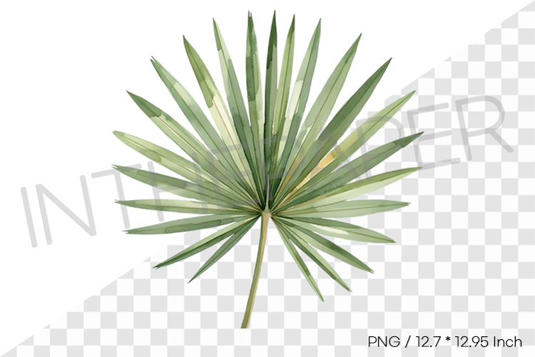 Palm Leaf Fan Tropical Summer Clipart Watercolor Illust