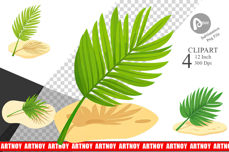 Palm Leaf Png Image 4