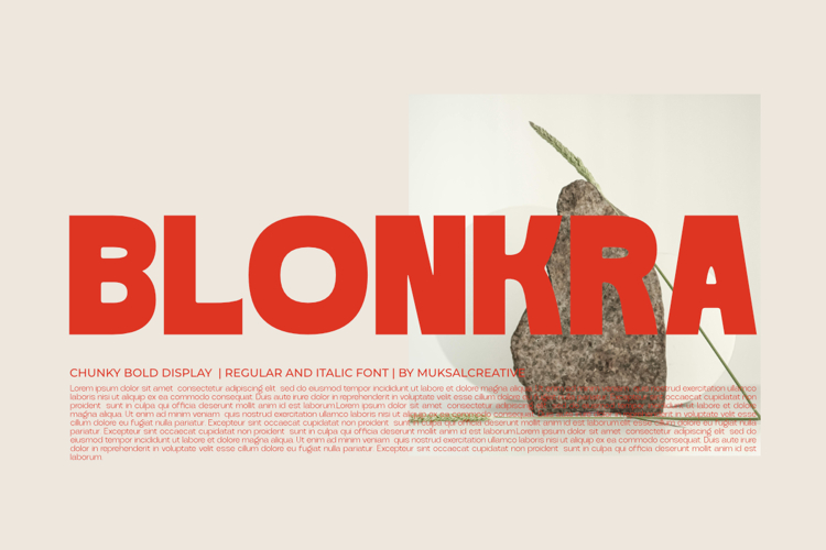 Branding Fonts Image 5