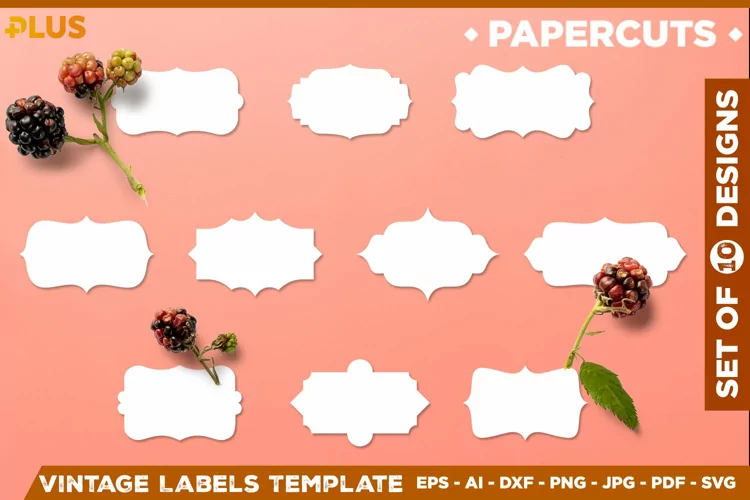 Vector Label Shapes SVG Collection. Label shapes for kitchen