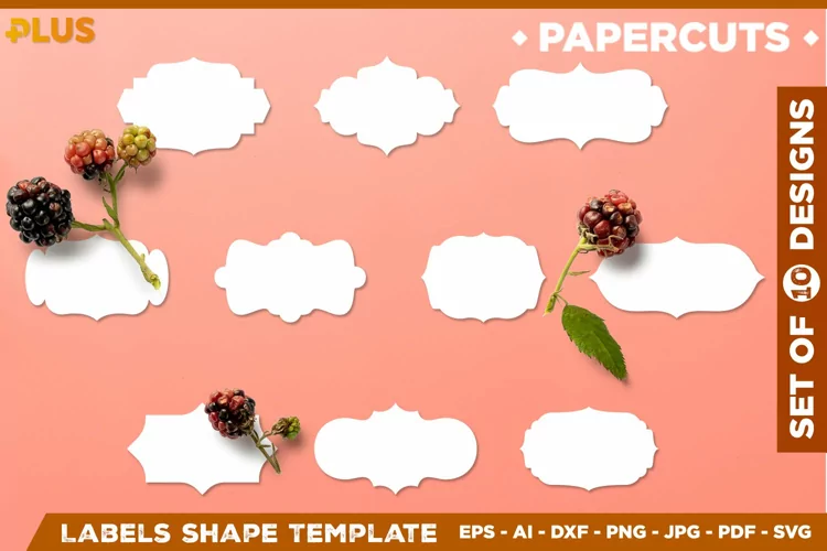 Vector Label Shapes Collection. Ornate Label shapes SVG