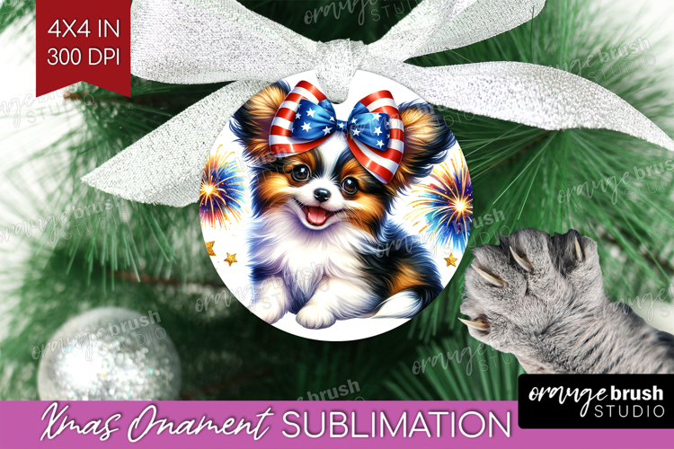 Ornament Png Image 12