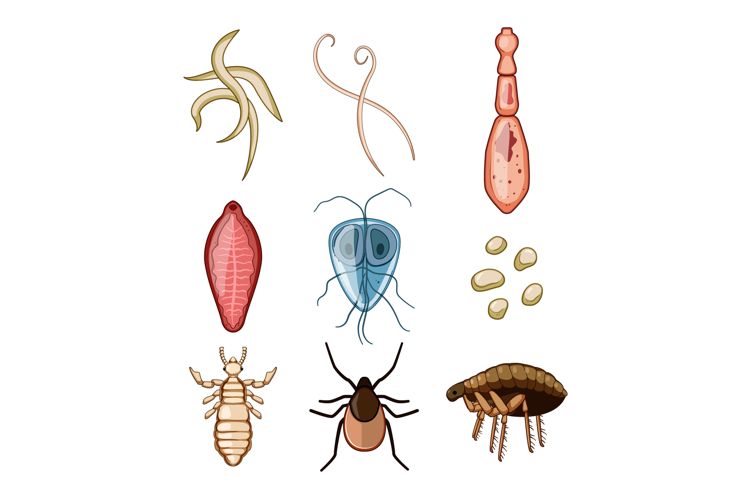 Various human and animal parasites, pests, and internal worm