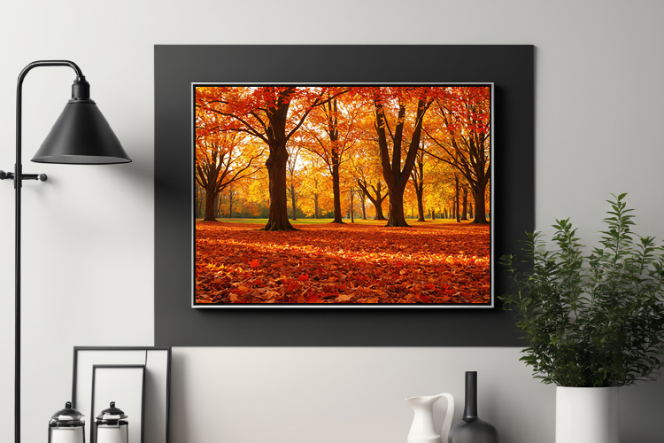 Park with autumn trees