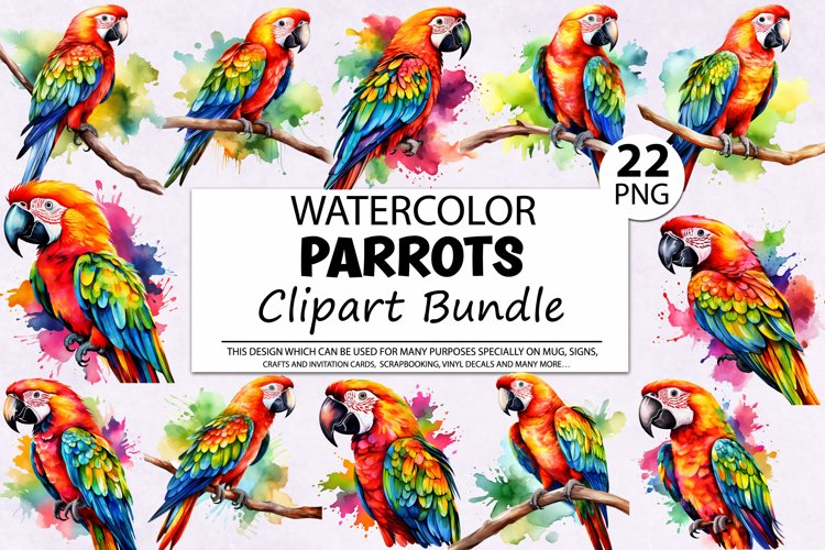 Parrot Png Image 18