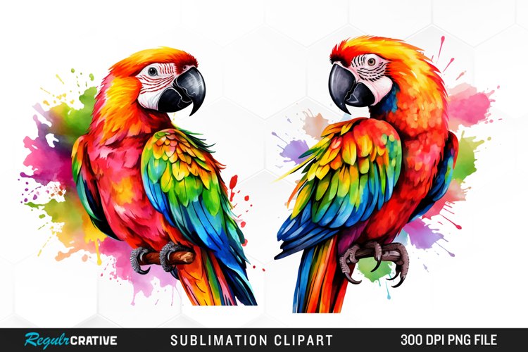 Parrot Clipart Image 9