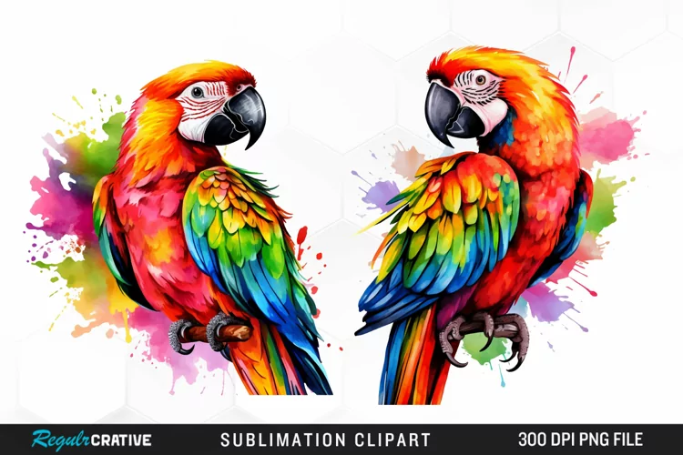 Watercolor Parrots Sublimation PNG Clipart