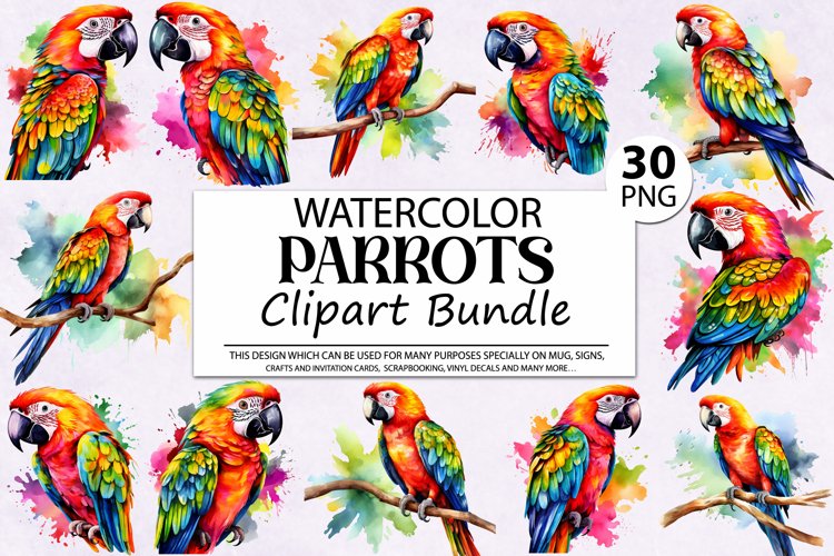 Parrot Png Image 19