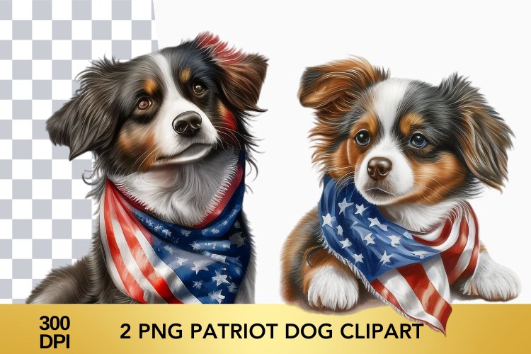 4th Of July Sublimation Design Image 10