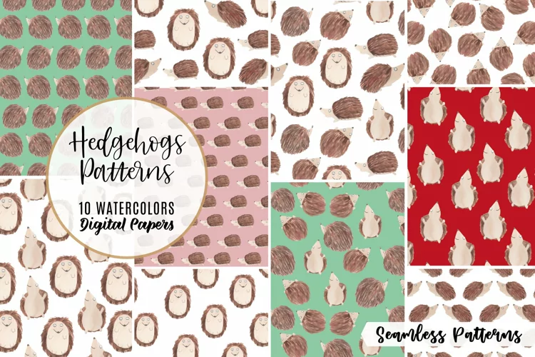 Hedgehogs Watercolor Patterns Seamless Cute Sweet