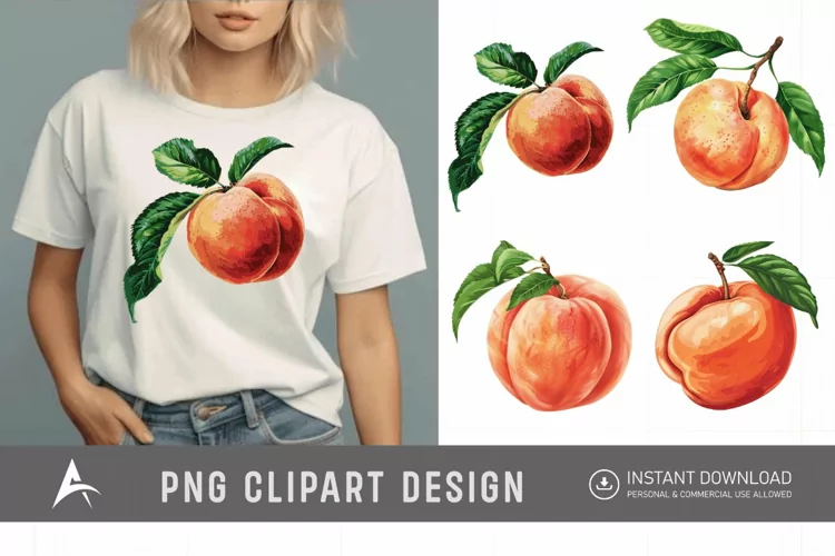 Watercolor Peach Clipart