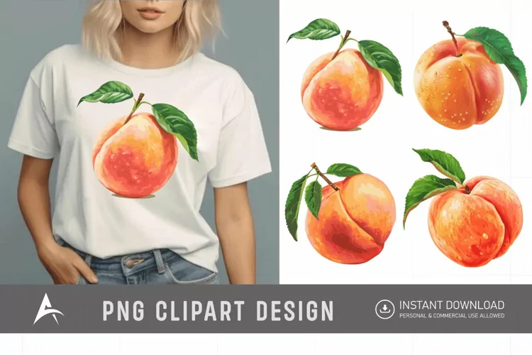 Watercolor Peach Clipart