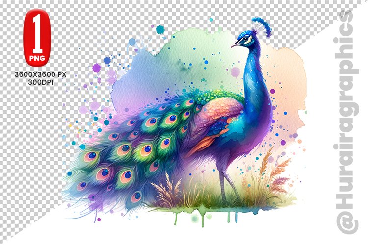 Peacock Clipart Image 2
