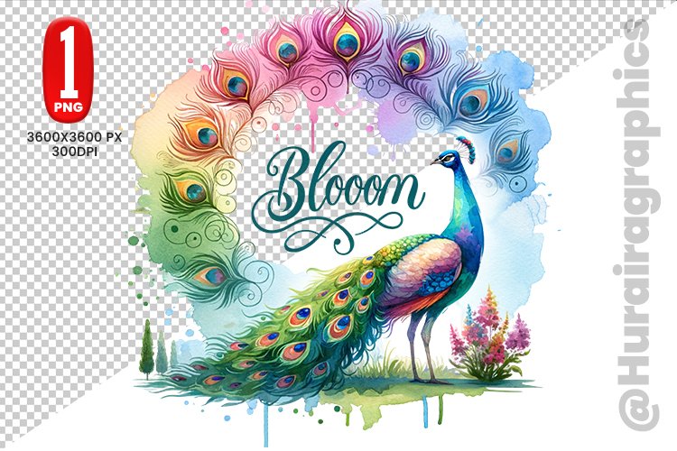 Peacock Clipart Image 8
