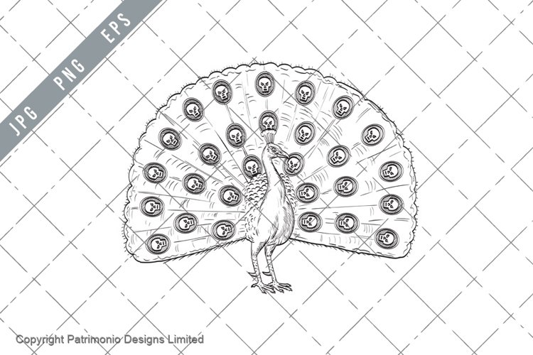 Peacock or Indian Peafowl with Fan Like Tail of Skull Comics